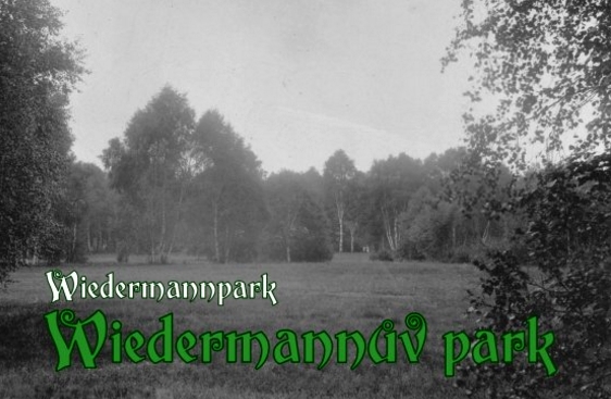 Wiedermannův park