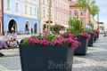 Chebské náměstí opět zdobí květinové berušky, ale také zapomenuté toalety