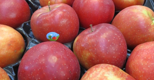 jablka vetrinární inspekce