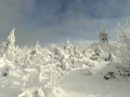 Sněhové krásy kolem Fichtelbergu - foto Jiří Pošmura