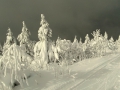 Sněhové krásy kolem Fichtelbergu - foto: Jiří Pošmura