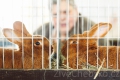 V Lipové vystavovali chovatelé