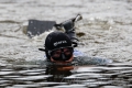 Již po třetí se sešli potápěči v Chebu na „Zimním plavání v Ohři“