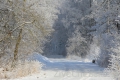 Zima na Chebsku ve fotogalerii